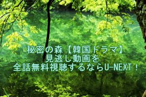 秘密の森 韓国ドラマ 16話最終回あらすじとネタバレ感想 事件は解決 Snacktime