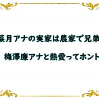 風間トオルの貧乏話と結婚 離婚理由 娘は 若い頃のイケメン画像も Snacktime